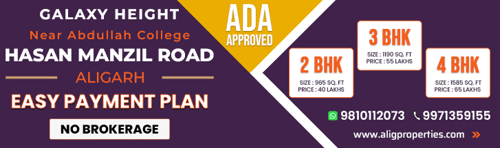 flat for sale lal diggi road