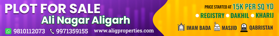 plot for sale ali nagar
